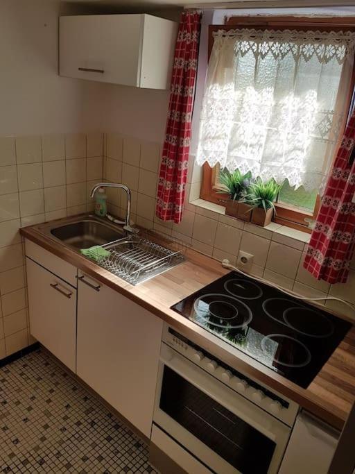Idyllische Kleine Ferienwohnung Im Schwarzwald Friedenweiler Kültér fotó